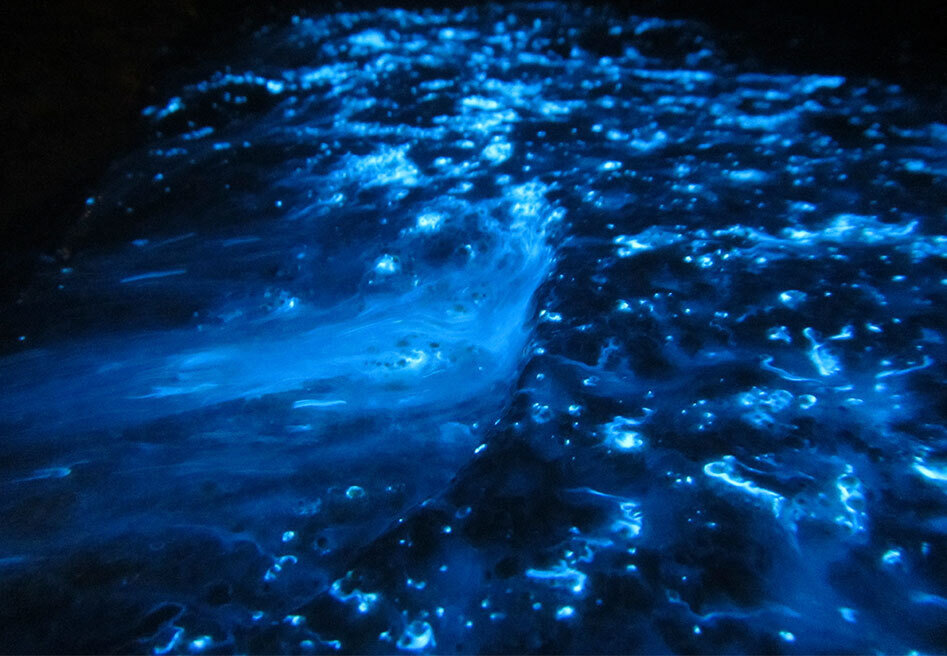 鞆の浦の海で見れる海ホタルや夜光虫の美しい青.jpg
